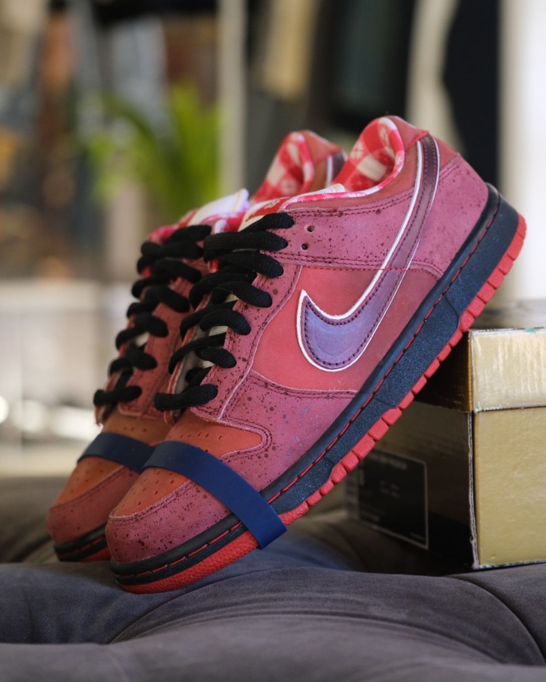 Nike Dunk | Sneakers Nike per Uomo e Donna | ResellZone