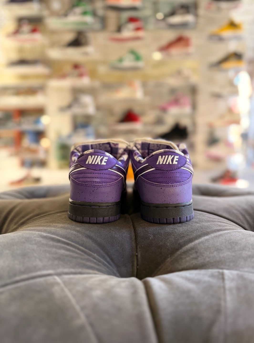 Nike SB Dunk Low Concepts Purple Lobster - Sneakers Usate | ResellZone