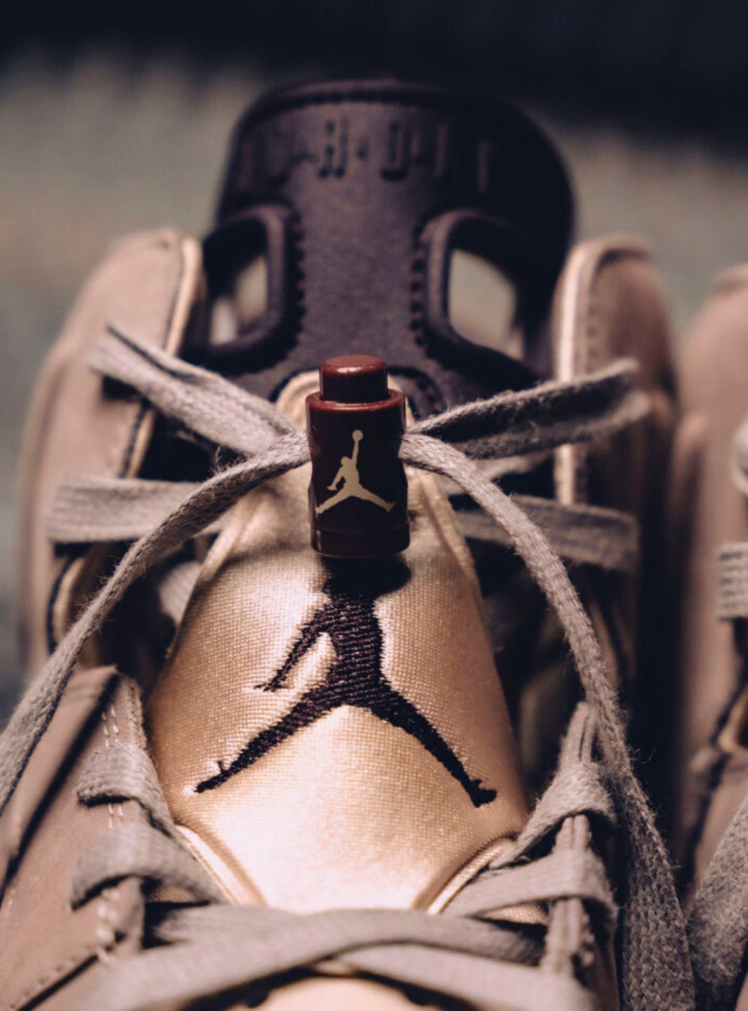 Air Jordan 6 Retro A Ma Maniére Smokey Mauve - IF3103-200 | ResellZone