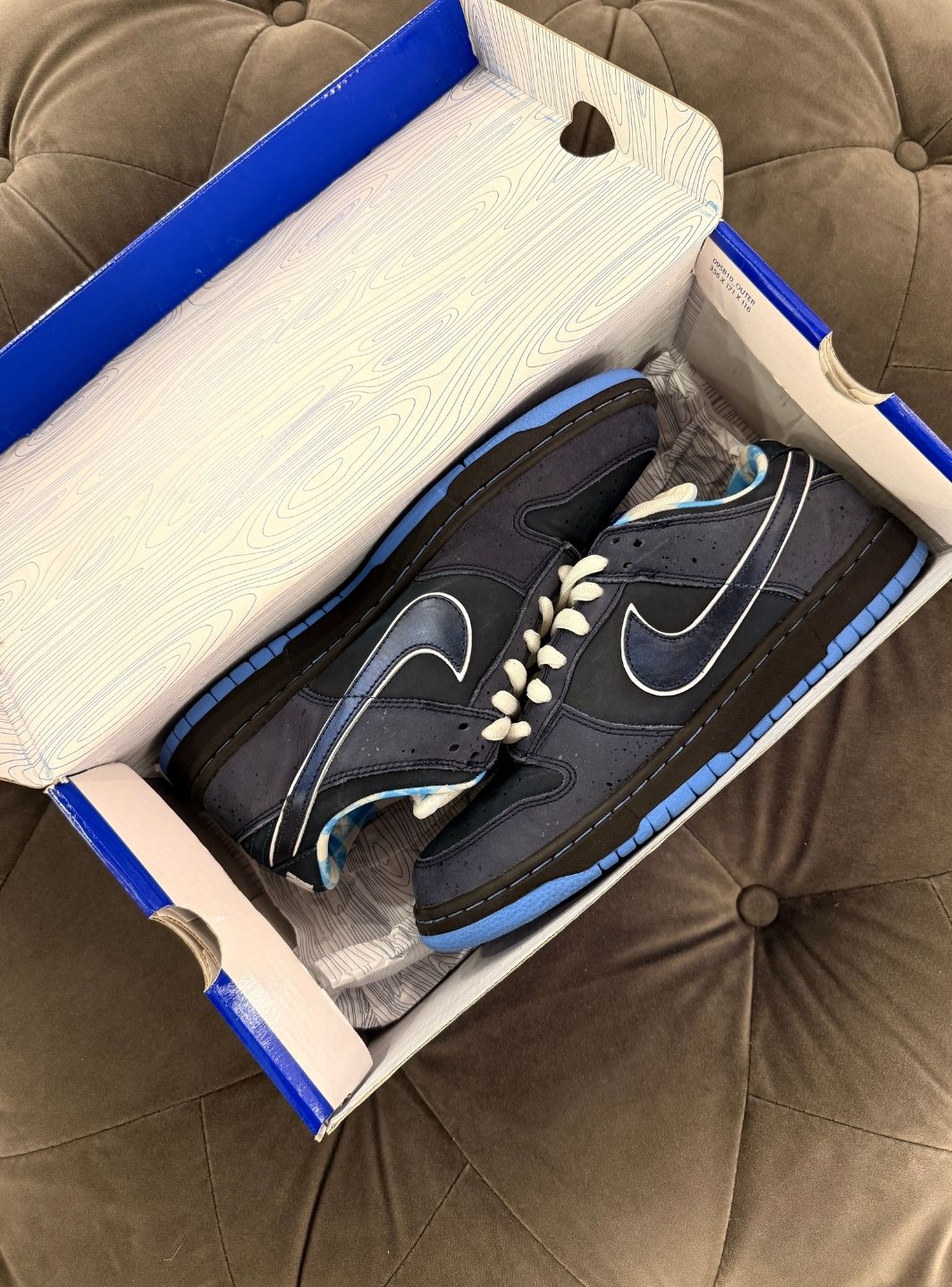 Nike SB Dunk Low Concepts Blue Lobster - Sneakers Usate | ResellZone