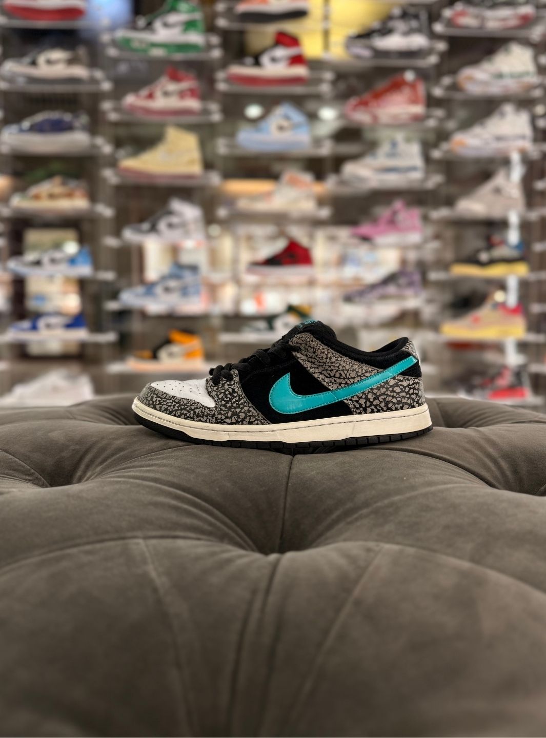 Nike SB Dunk Low atmos Elephant - Sneakers Usate | ResellZone