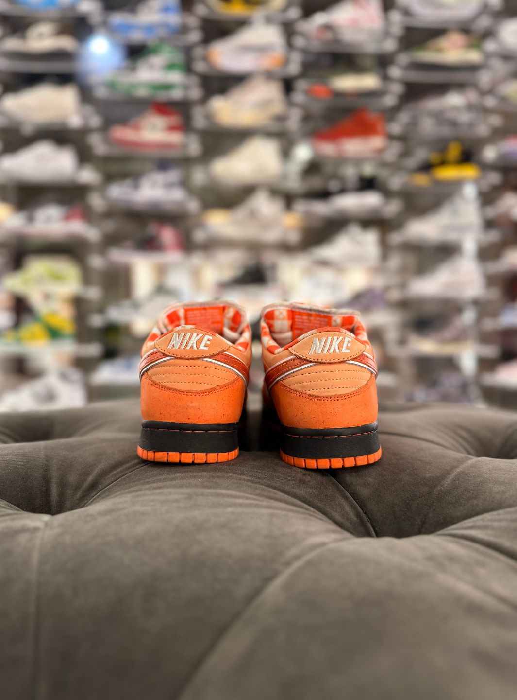 Nike SB Dunk Low Concepts Orange Lobster - Sneakers Usate | ResellZone