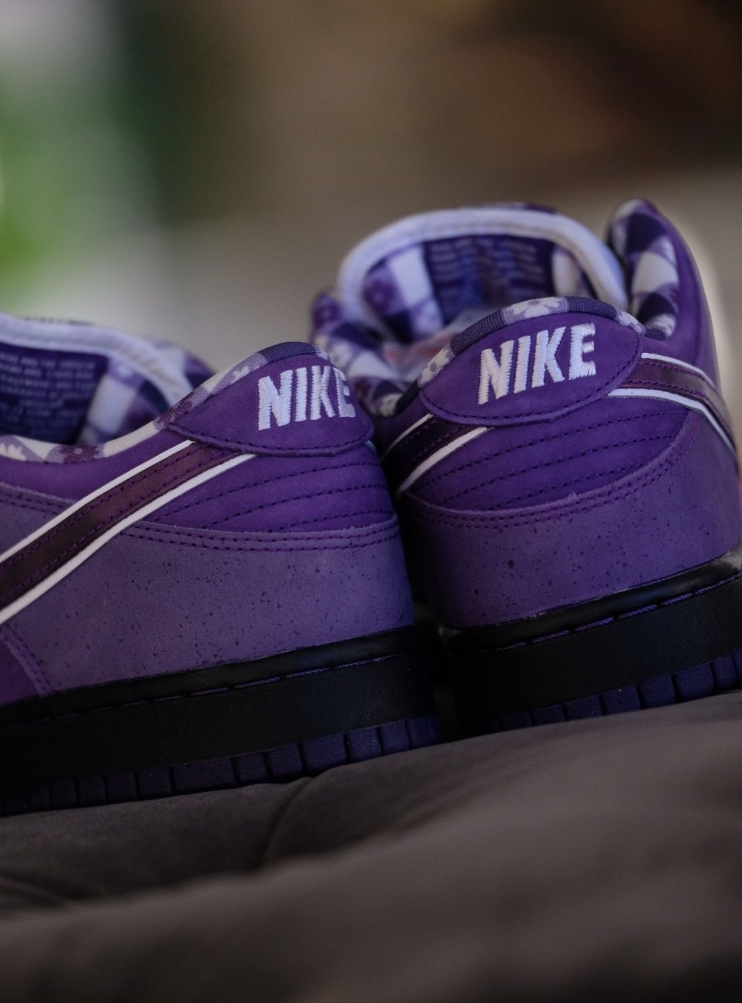 Nike SB Dunk Low Concepts Purple Lobster (Special Box) - BV1310-555 | ResellZone