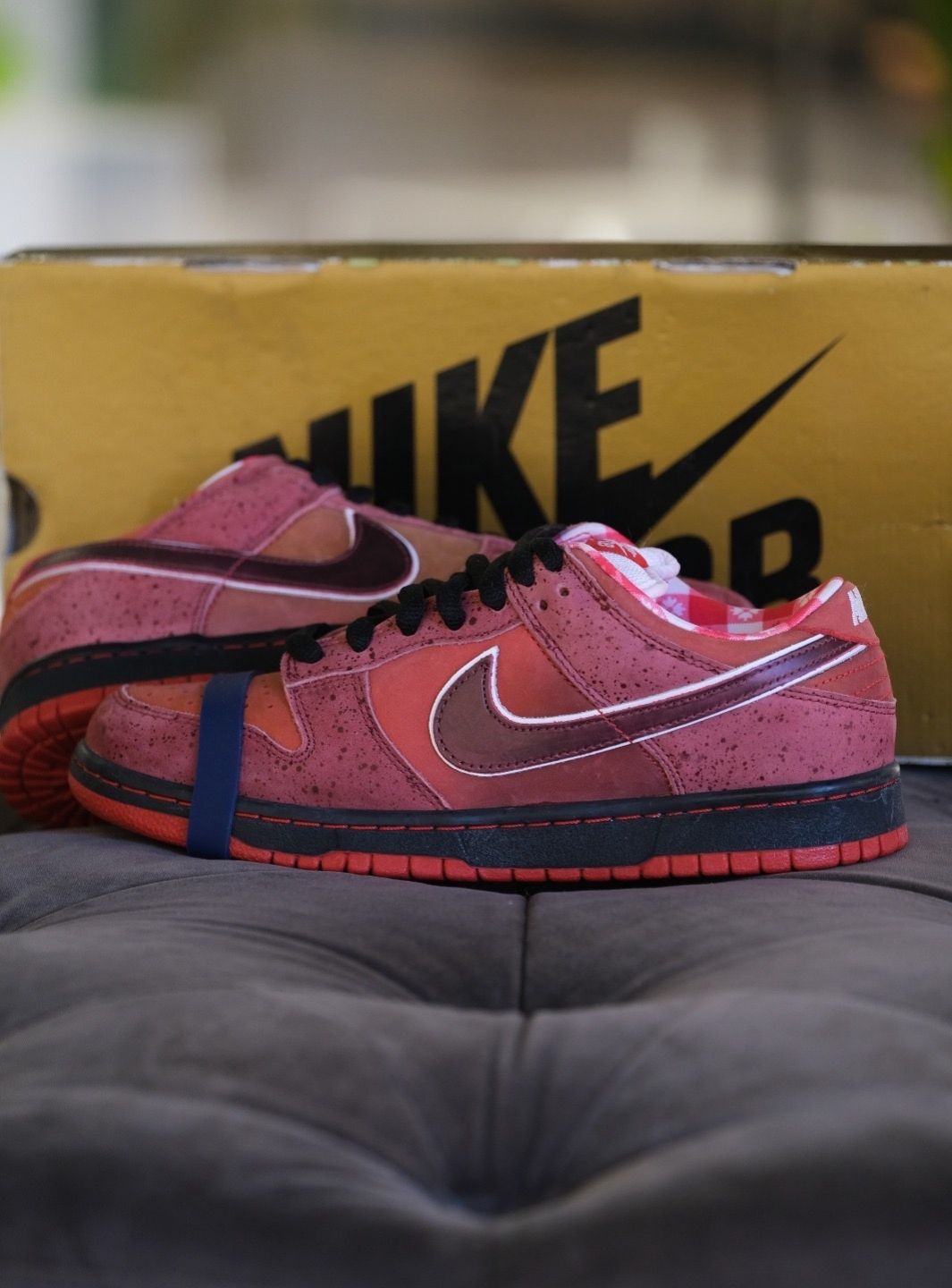 Nike SB Dunk Low Concepts Red Lobster - 313170-661 | ResellZone