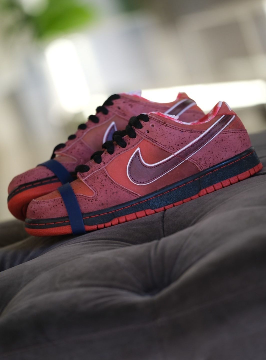 Nike SB Dunk Low Concepts Red Lobster - 313170-661 | ResellZone