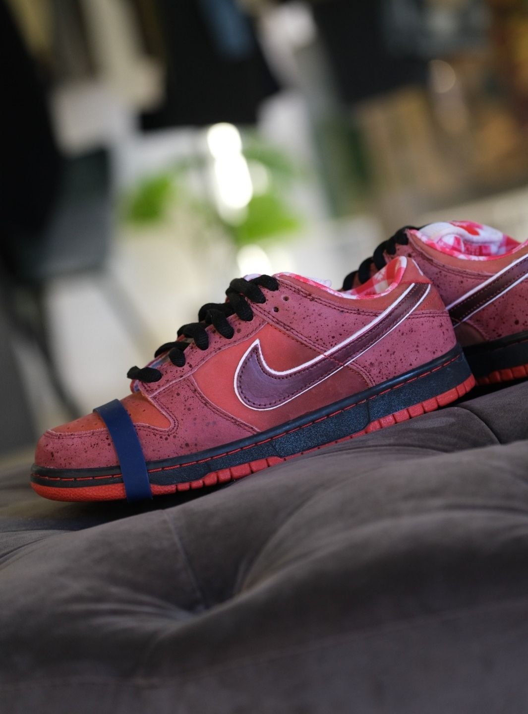Nike SB Dunk Low Concepts Red Lobster - 313170-661 | ResellZone