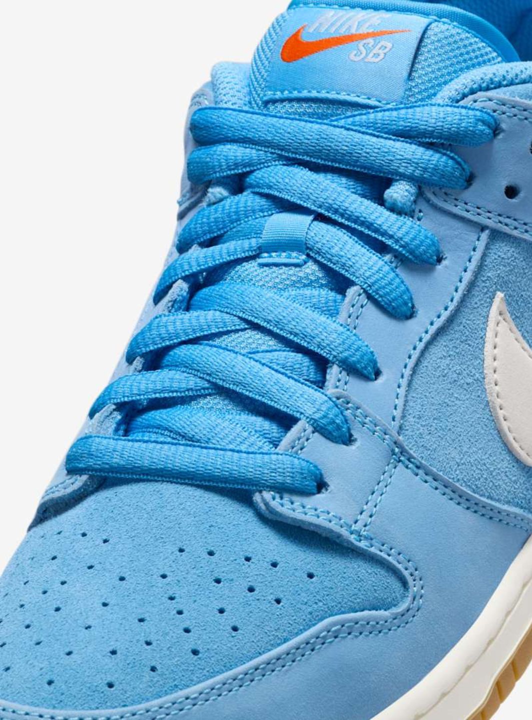 Nike SB Dunk Low Pro University Blue Gum - FJ1674-401 | ResellZone