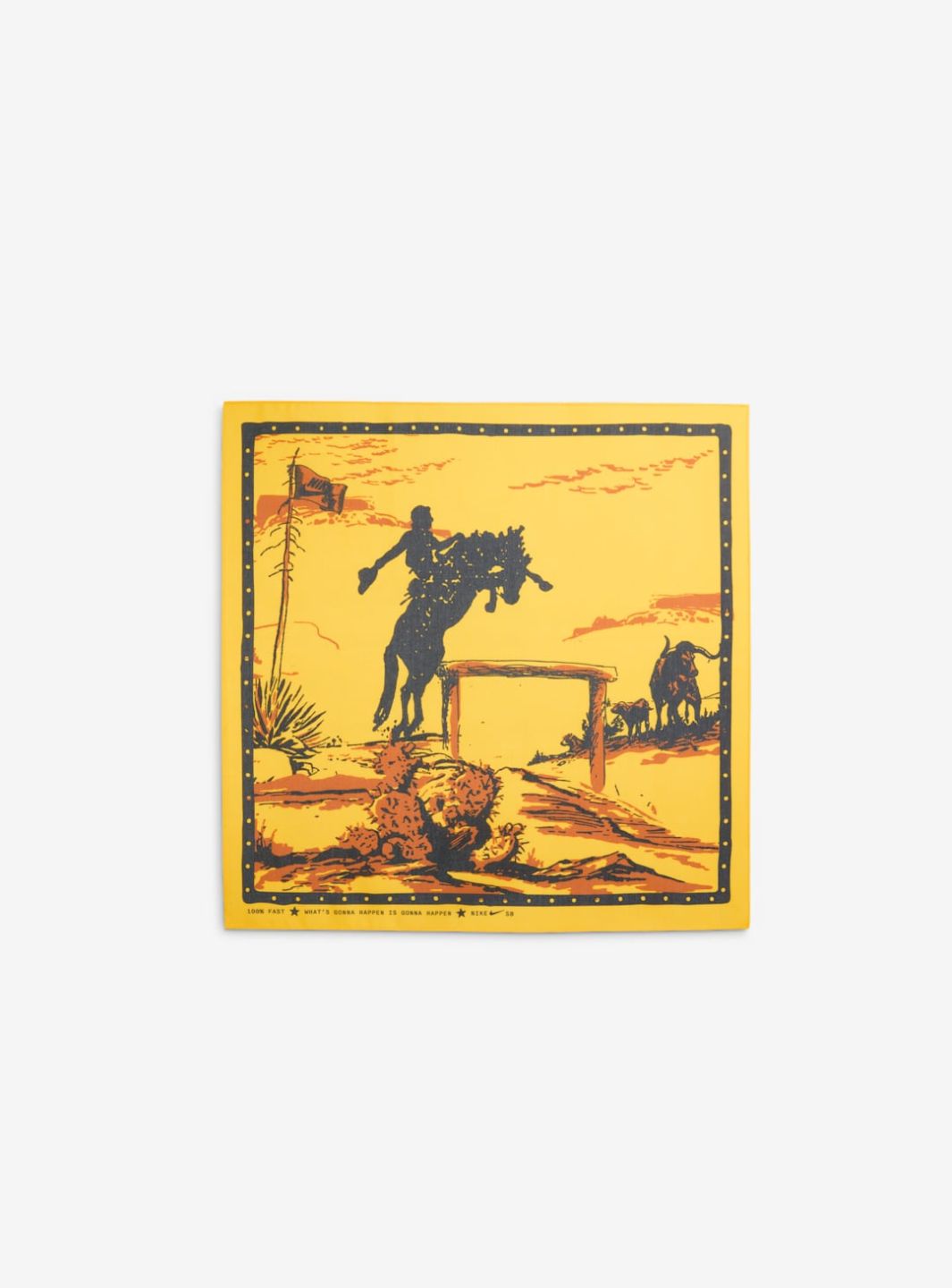 Nike SB Dunk Low Rodeo Tourmaline - HF3058-300 | ResellZone