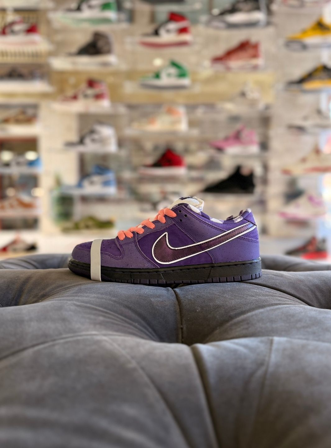 Nike SB Dunk Low Concepts Purple Lobster - Sneakers Usate | ResellZone