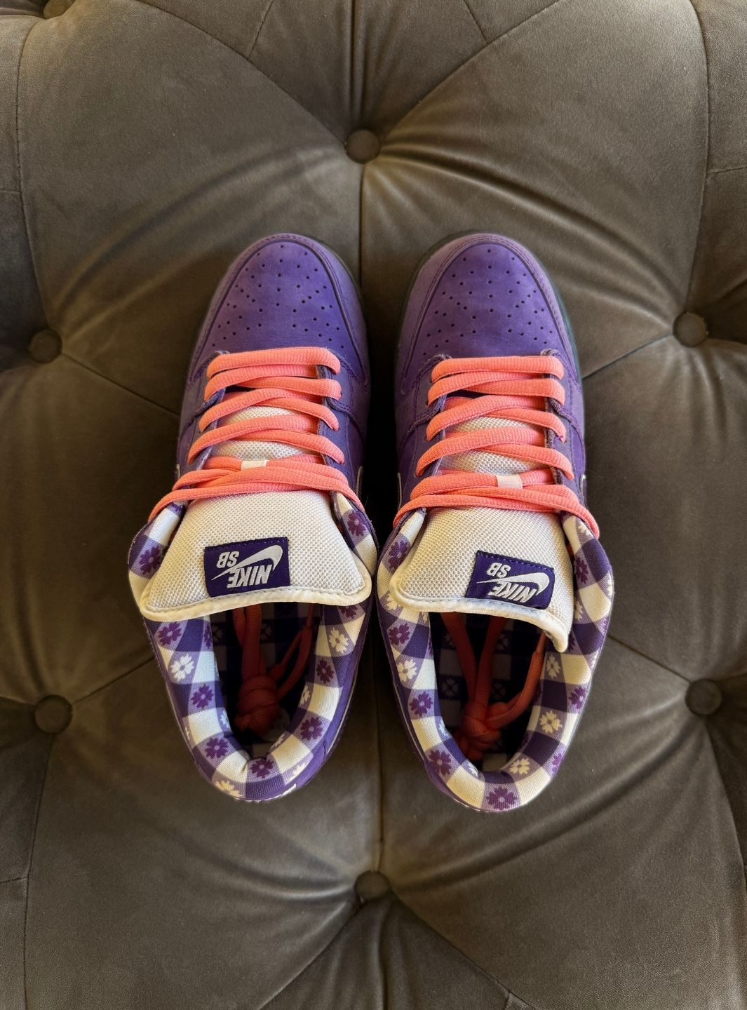 Nike SB Dunk Low Concepts Purple Lobster - Sneakers Usate | ResellZone