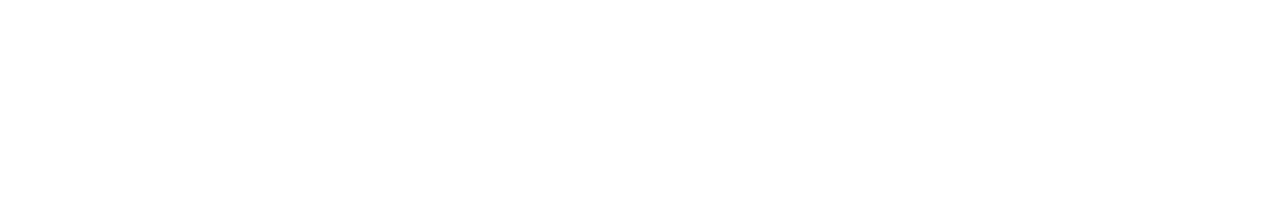 ResellZone logo