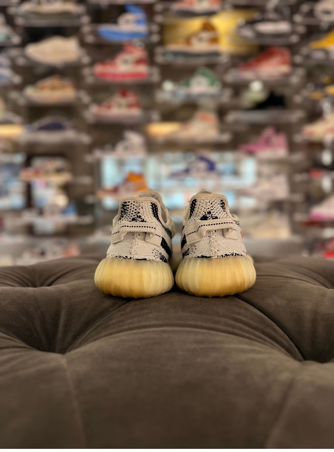 Adidas Yeezy Boost 350 V2 Zebra - Sneakers Usate | ResellZone