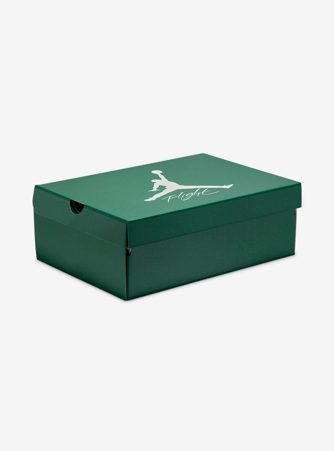 Air Jordan 4 Retro Oxidized Green - FQ8138-103 | ResellZone