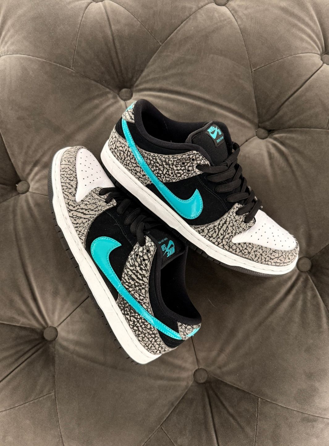 Nike SB Dunk Low Atmos Elephant - Sneakers Usate | ResellZone