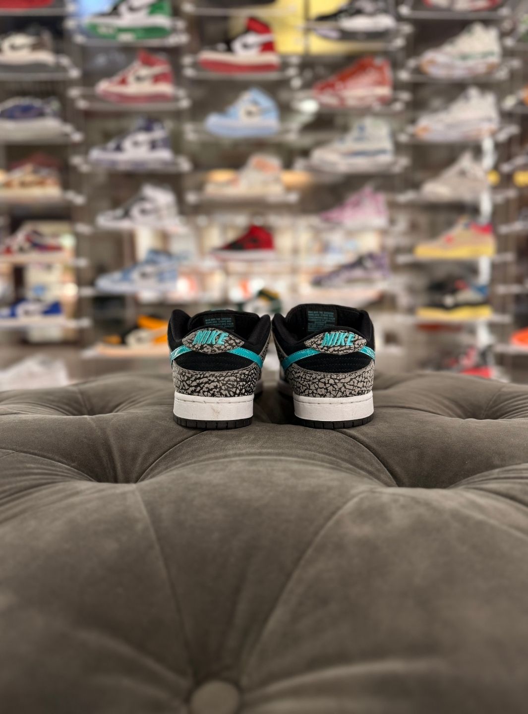 Nike SB Dunk Low Atmos Elephant - Sneakers Usate | ResellZone