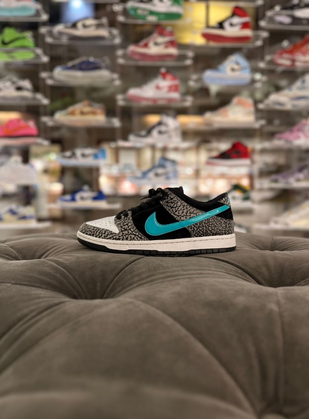 Nike SB Dunk Low atmos Elephant - Sneakers Usate | ResellZone