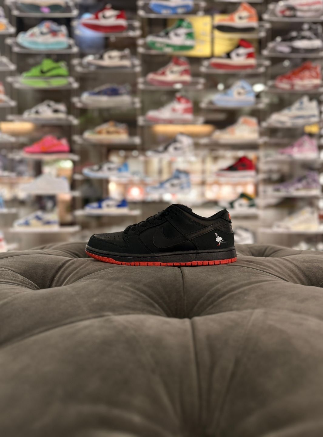 Nike SB Dunk Low Black Pigeon - Sneakers Usate | ResellZone