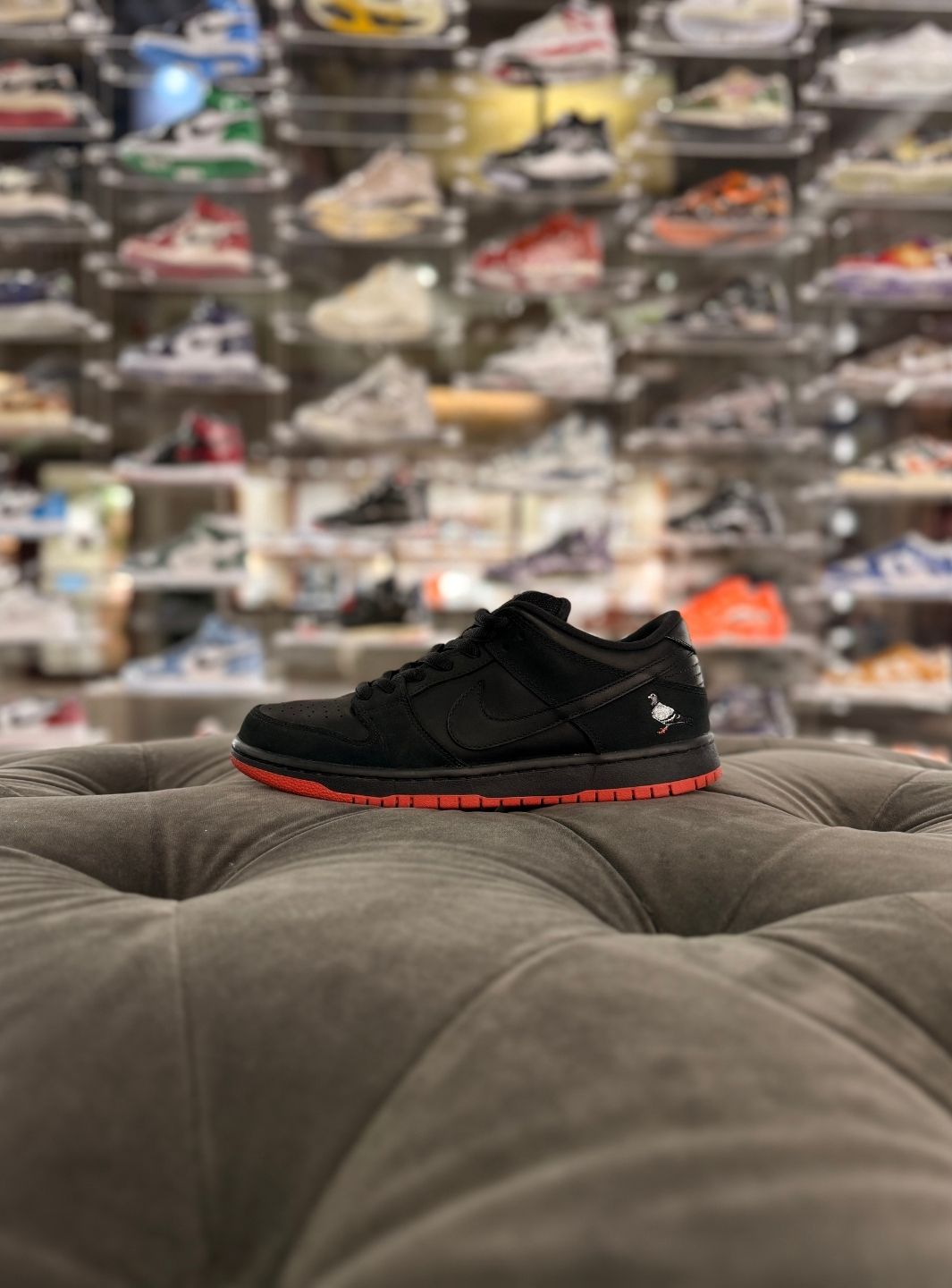 Nike SB Dunk Low Black Pigeon - Sneakers Usate | ResellZone