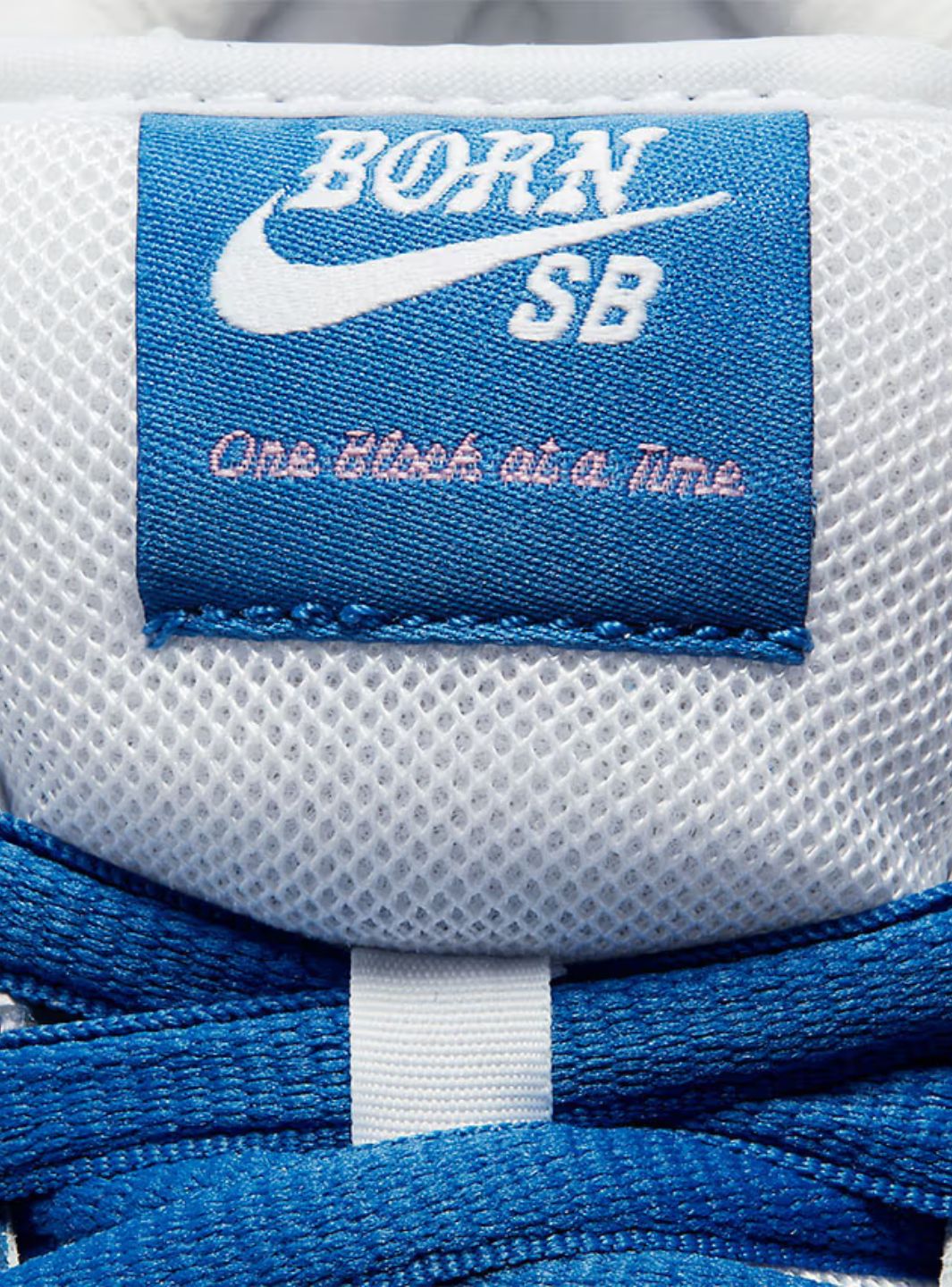 Nike SB Dunk Low Born x Raised