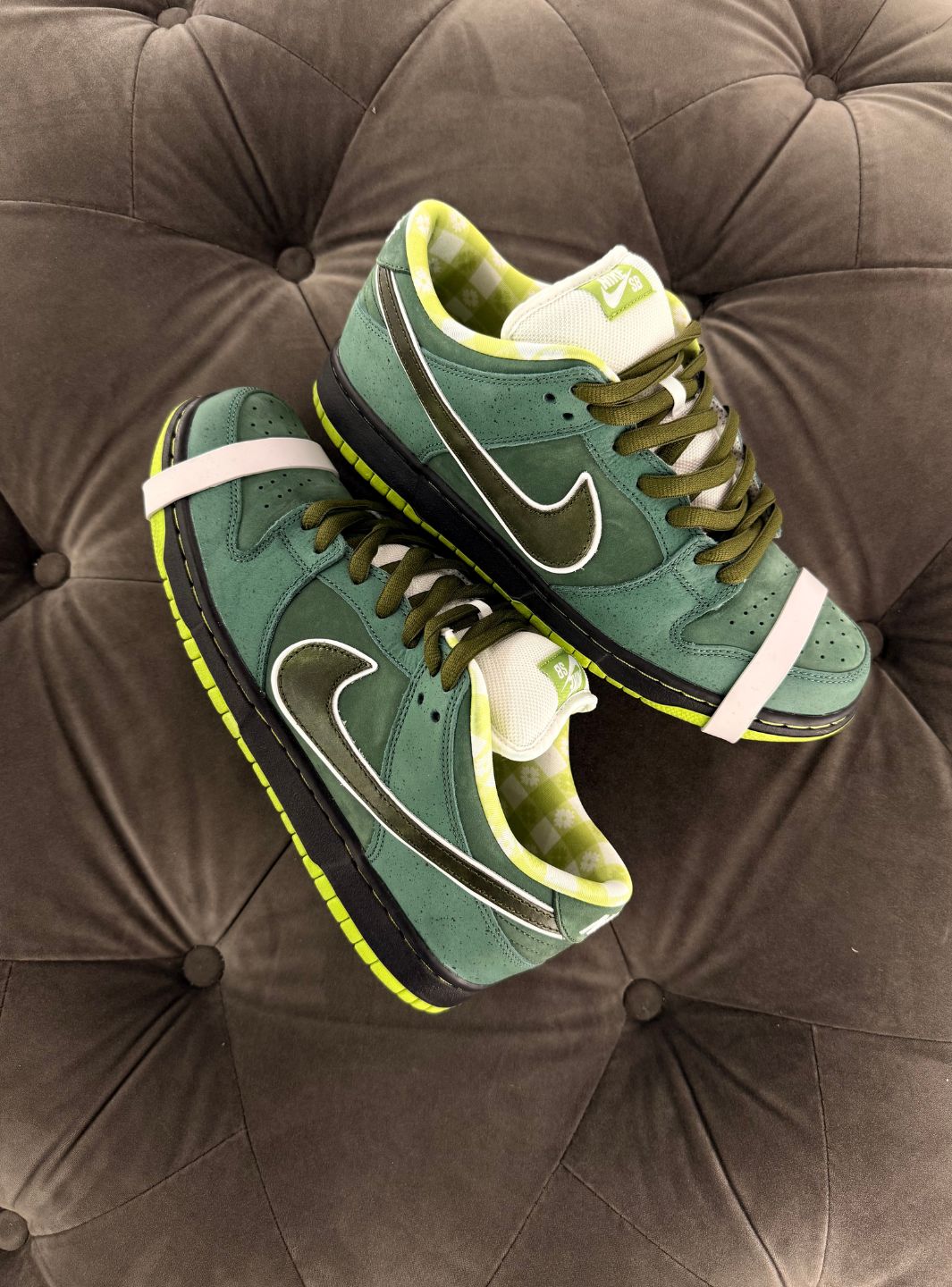 Nike SB Dunk Low Concepts Green Lobster (Special Box) - Sneakers Usate | ResellZone