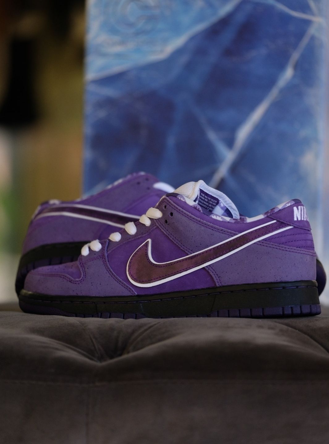 Nike SB Dunk Low Concepts Purple Lobster (Special Box) - BV1310-555 | ResellZone