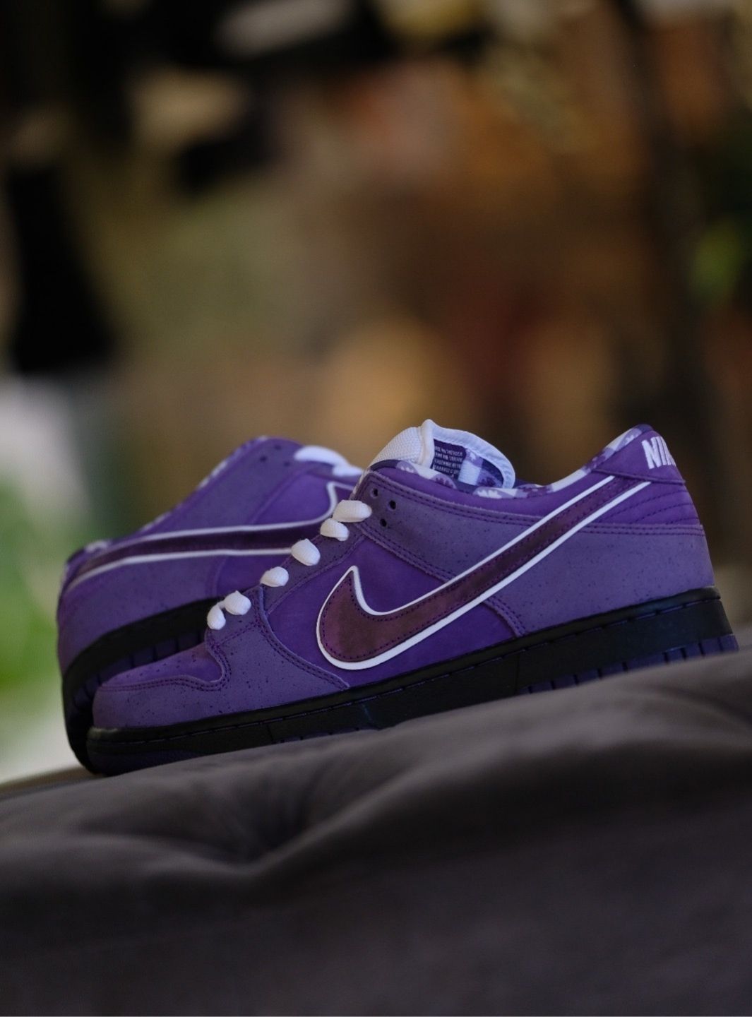 Nike SB Dunk Low Concepts Purple Lobster (Special Box) - BV1310-555 | ResellZone