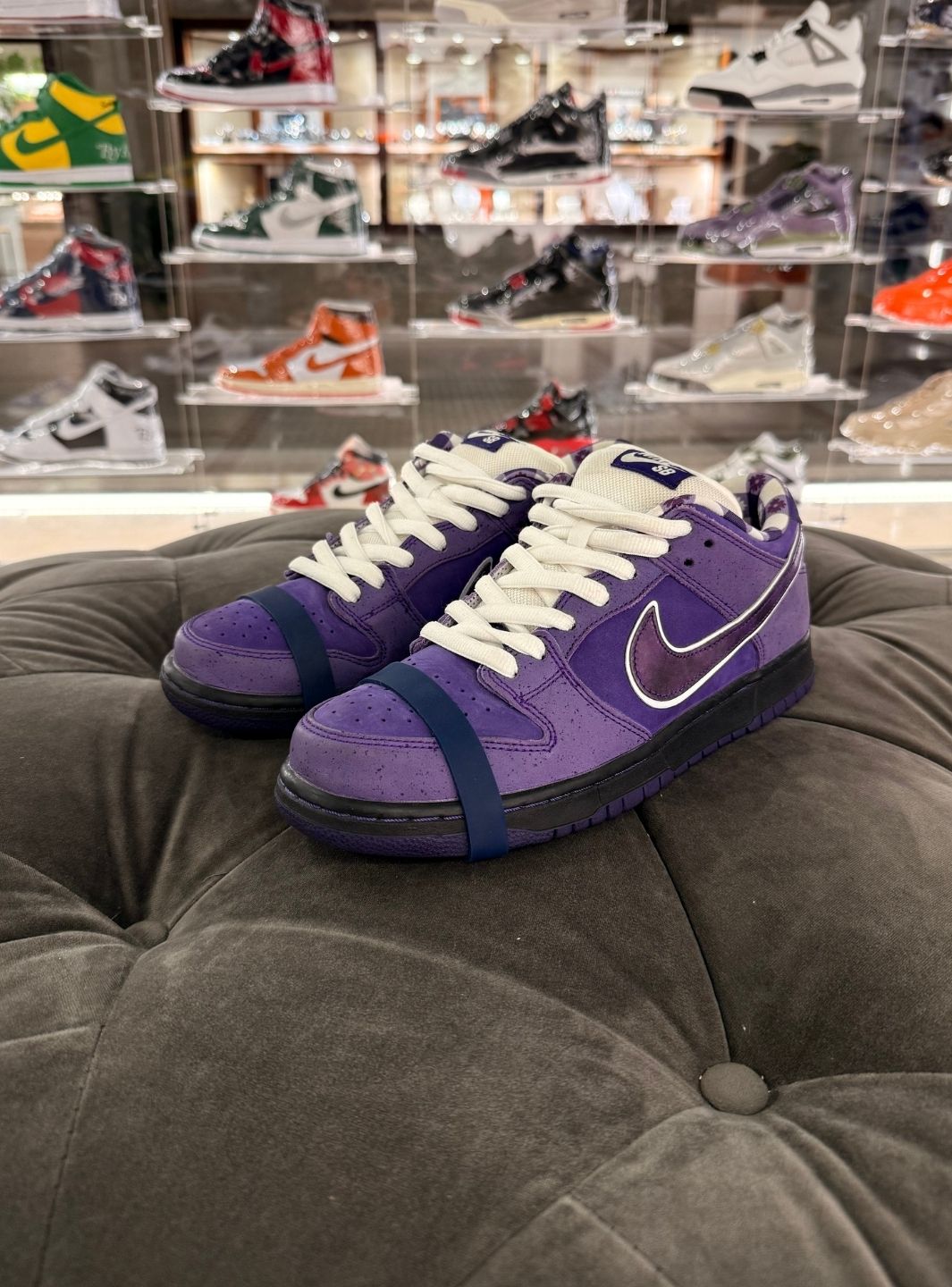 Nike SB Dunk Low Concepts Purple Lobster (Special Box) - Sneakers Usate | ResellZone
