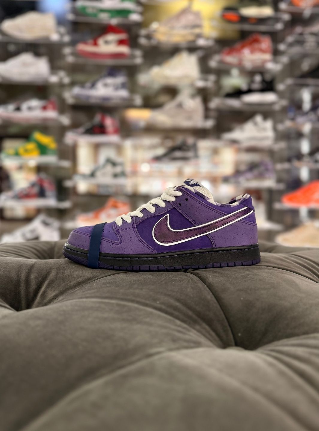 Nike SB Dunk Low Concepts Purple Lobster (Special Box) - Sneakers Usate | ResellZone