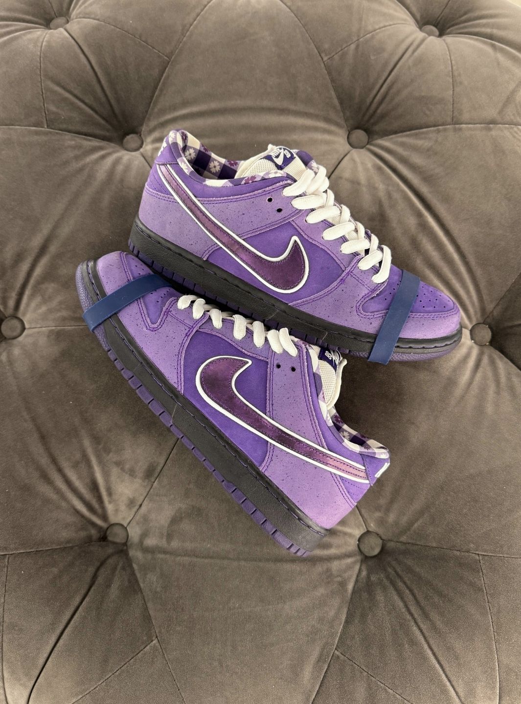 Nike SB Dunk Low Concepts Purple Lobster (Special Box) - Sneakers Usate | ResellZone