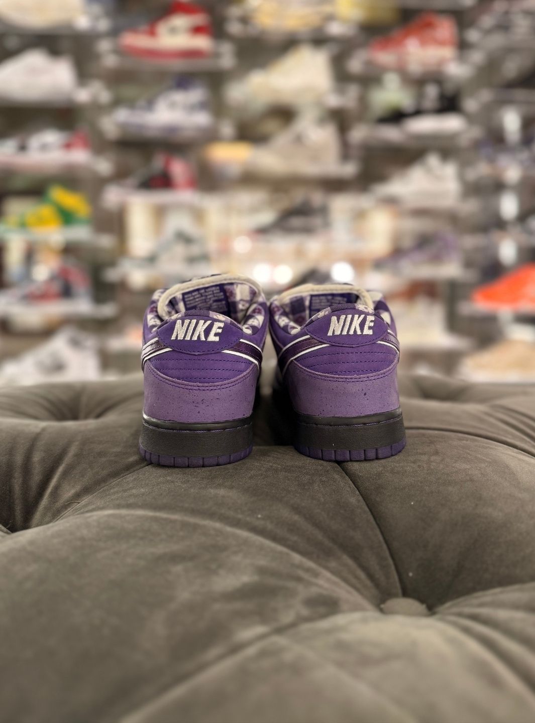 Nike SB Dunk Low Concepts Purple Lobster (Special Box) - Sneakers Usate | ResellZone