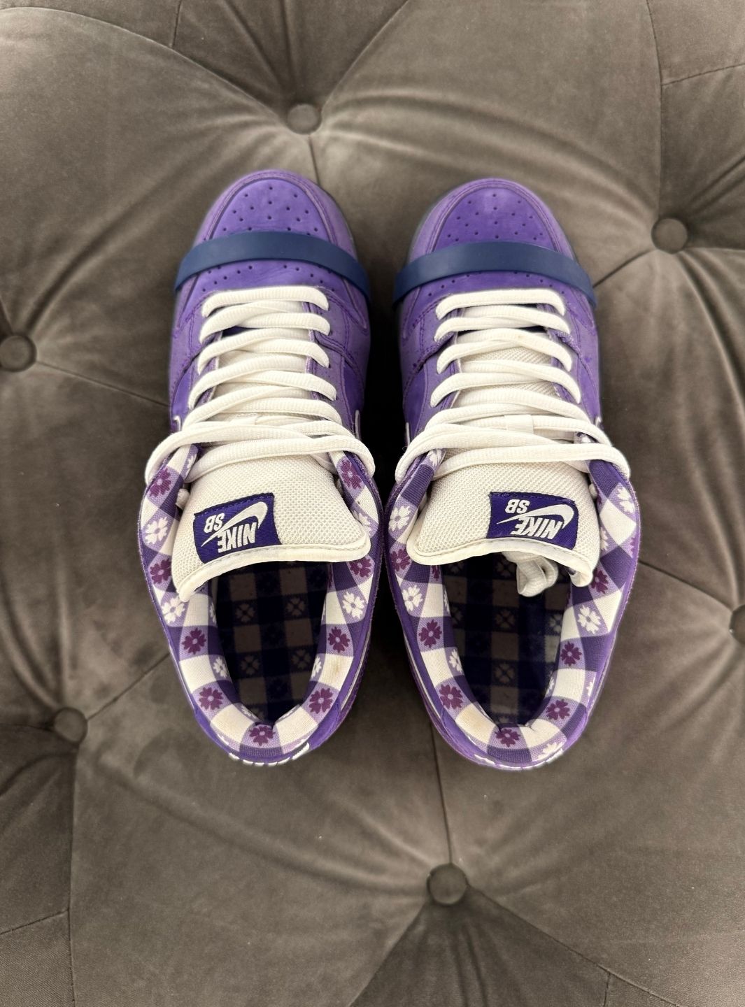 Nike SB Dunk Low Concepts Purple Lobster (Special Box) - Sneakers Usate | ResellZone