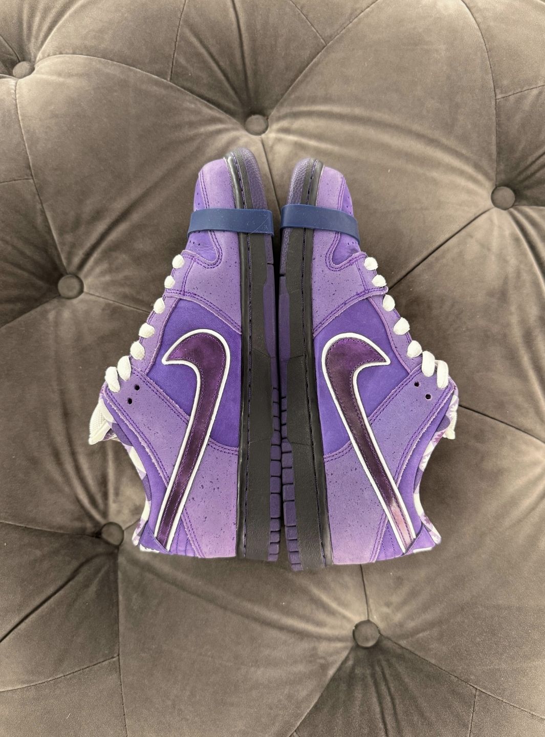 Nike SB Dunk Low Concepts Purple Lobster (Special Box) - Sneakers Usate | ResellZone