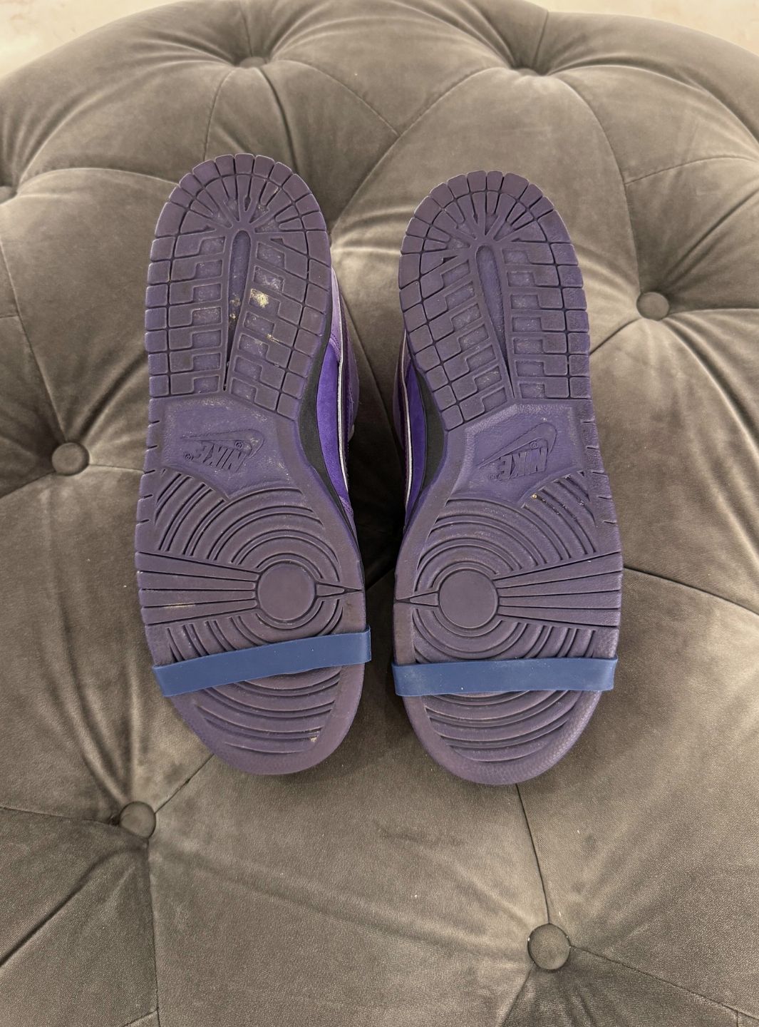 Nike SB Dunk Low Concepts Purple Lobster (Special Box) - Sneakers Usate | ResellZone