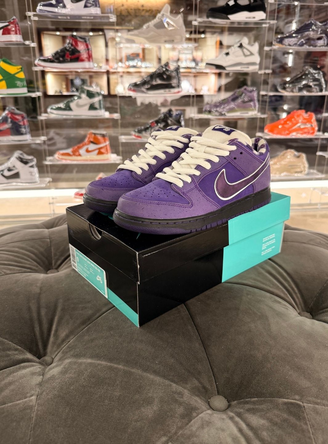 Nike SB Dunk Low Concepts Purple Lobster (Special Box) - Sneakers Usate | ResellZone