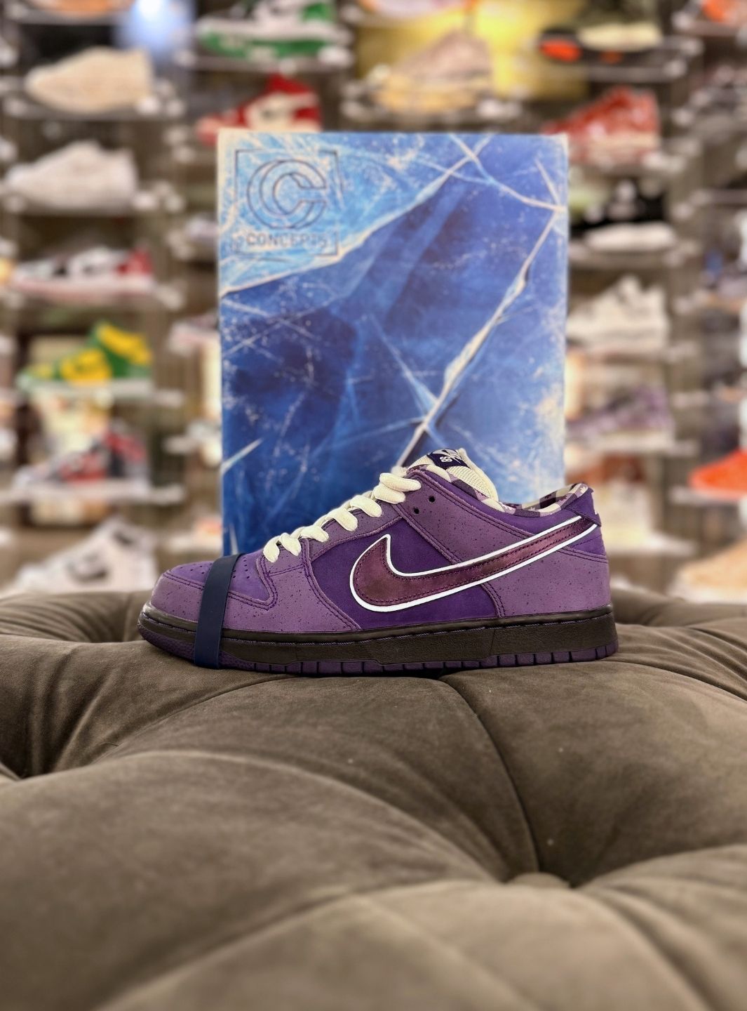 Nike SB Dunk Low Concepts Purple Lobster (Special Box) - Sneakers Usate | ResellZone