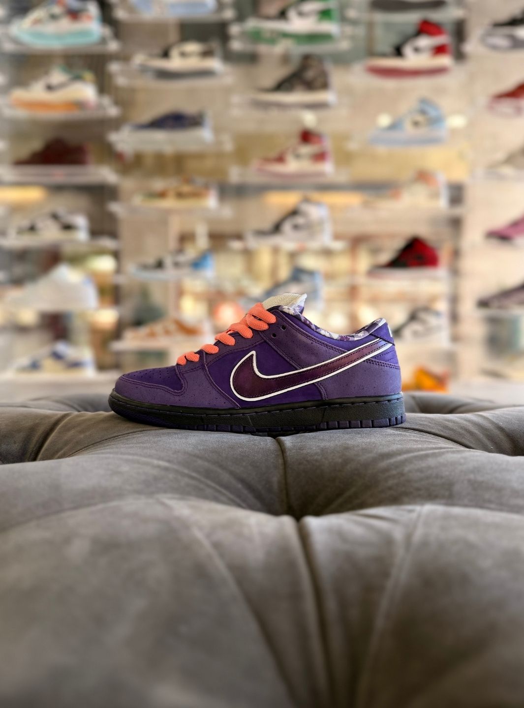 Nike SB Dunk Low Concepts Purple Lobster - Sneakers Usate | ResellZone