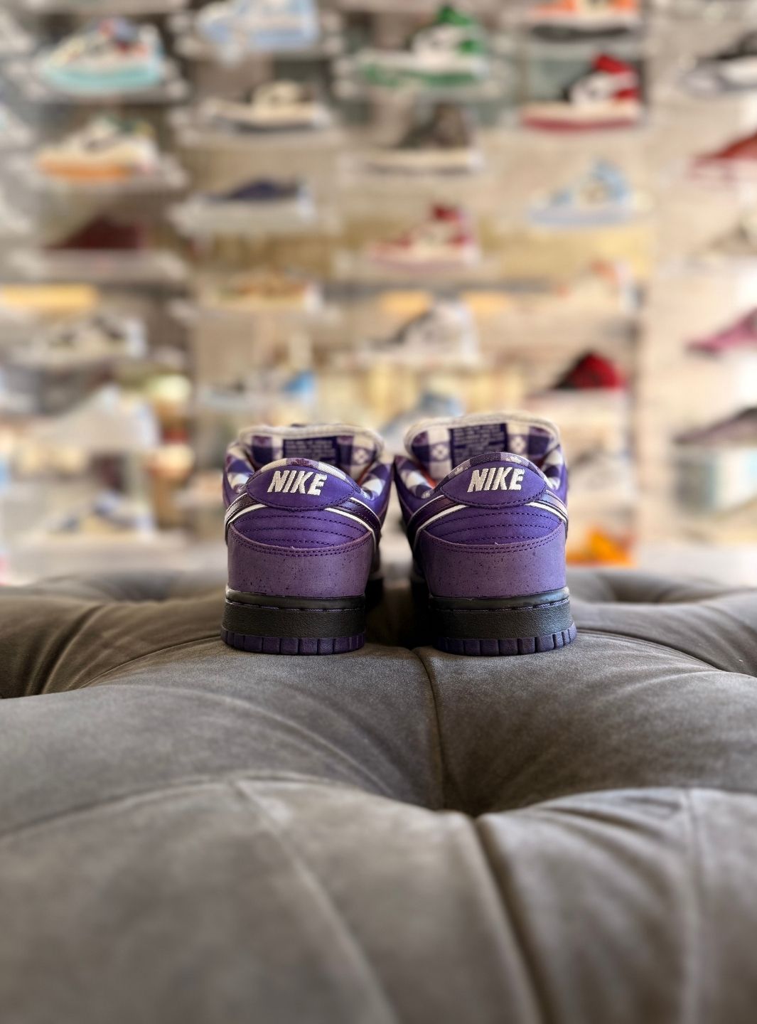 Nike SB Dunk Low Concepts Purple Lobster - Sneakers Usate | ResellZone