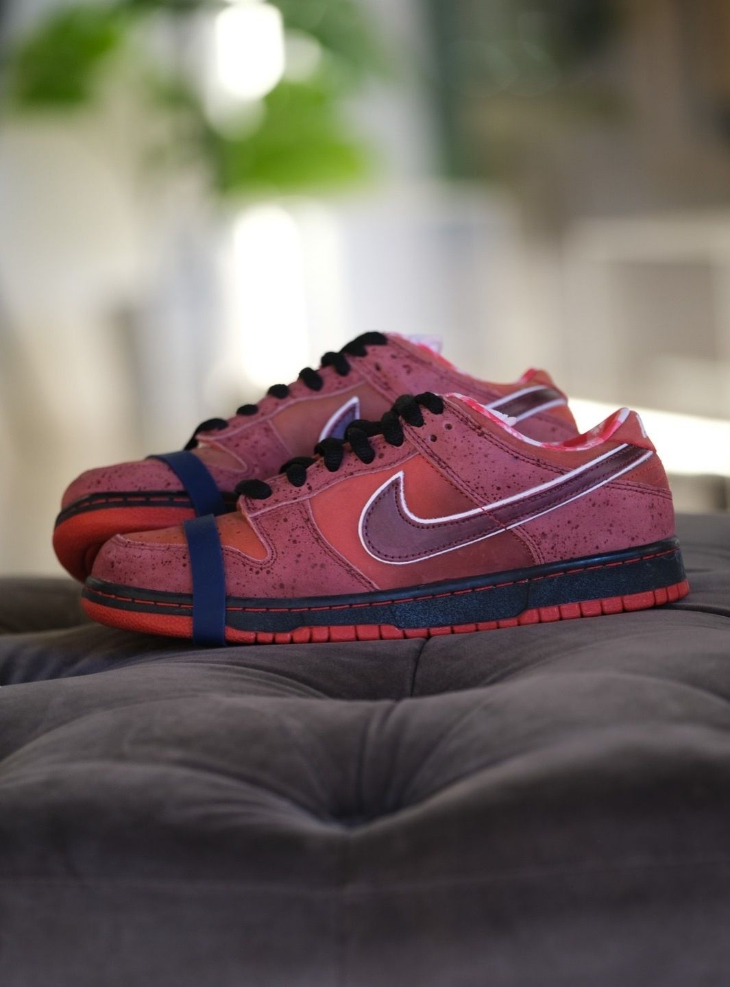 Nike SB Dunk Low Concepts Red Lobster - 313170-661 | ResellZone
