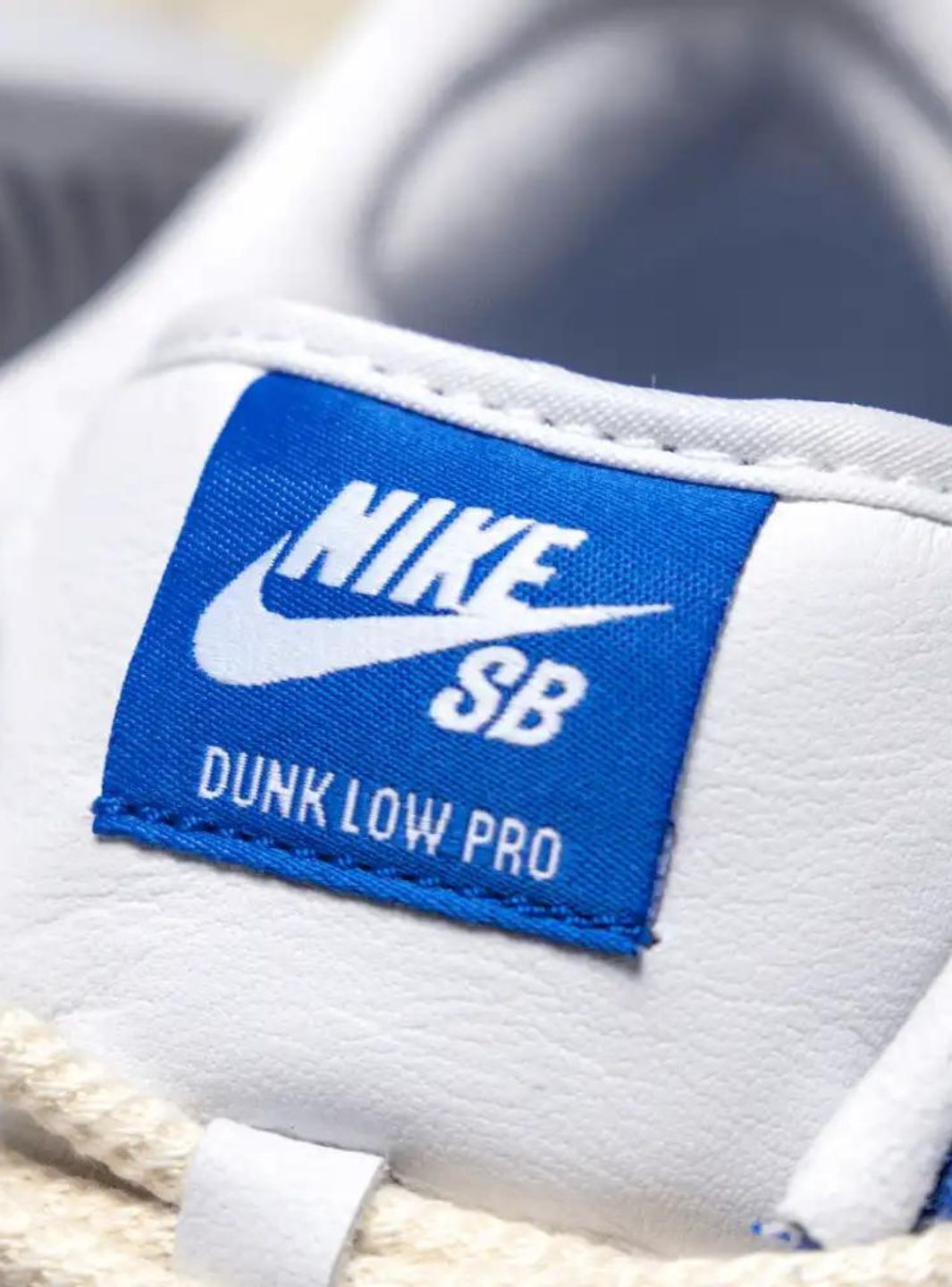 Nike SB Dunk Low Fly Streetwear Gardenia